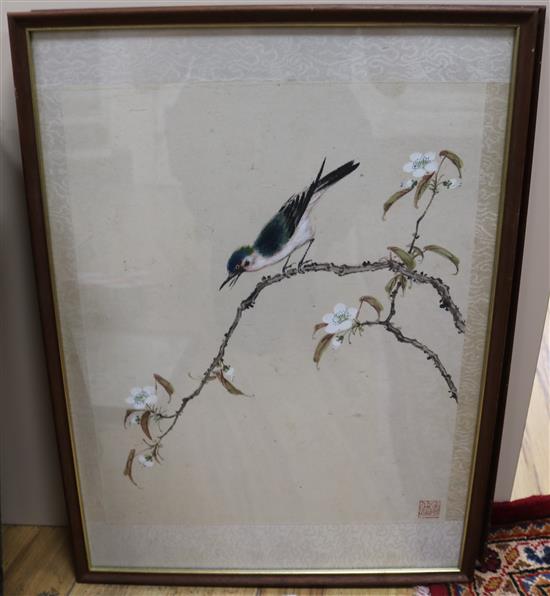 Chinese School Studies of birds and flowers 14.5 x 11.5in.